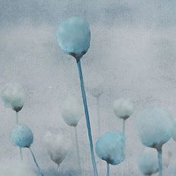 罂粟-原创定制壁画 张杉杉  装饰画/墙饰